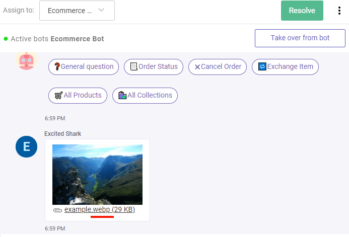 Chat interface showing a conversation with the "Ecommerce Bot," including quick reply buttons and a sent image file named "example.webp (29 KB)".