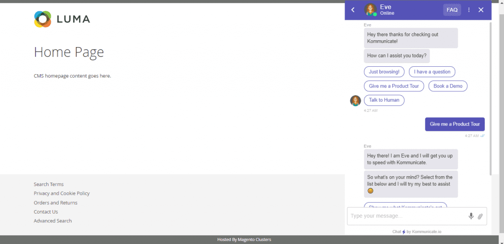 Add to Magento Website - chatbot loaded
