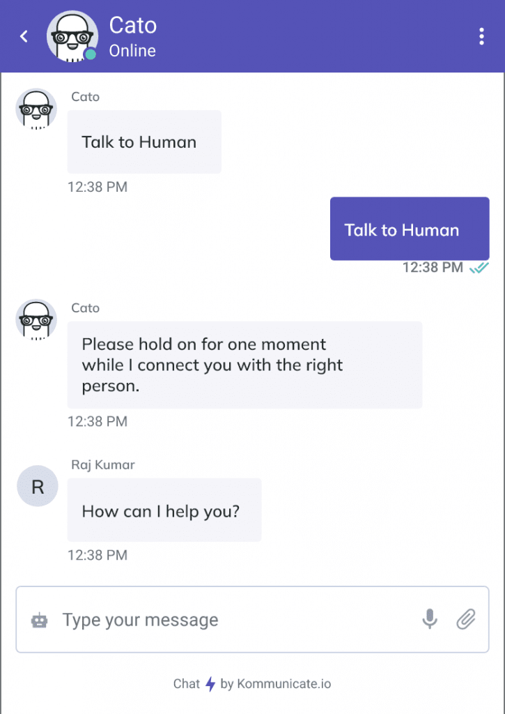 Zendesk Chat