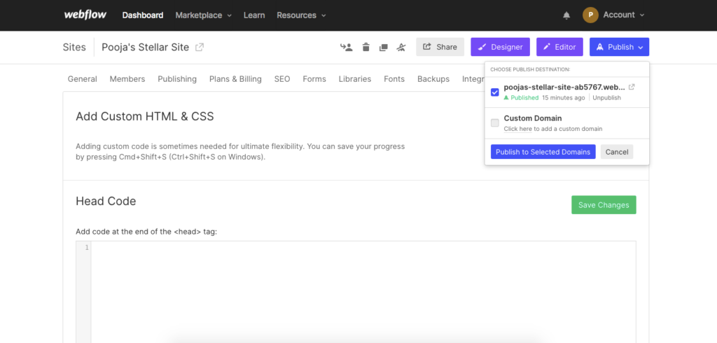 Add Custom HTML & Css