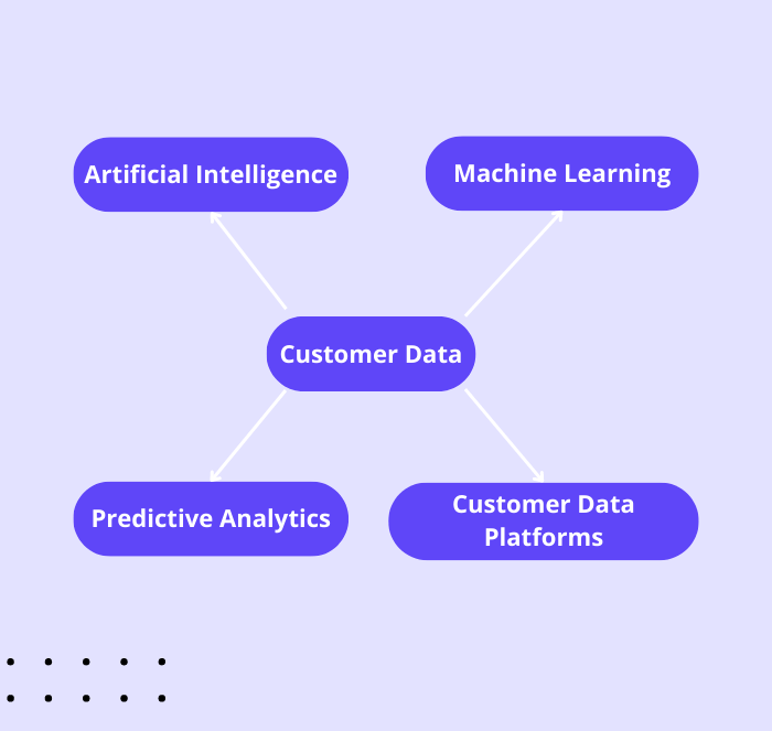 Diagram showcasing the customer data model, highlighting key elements and their interconnections within the dataset.