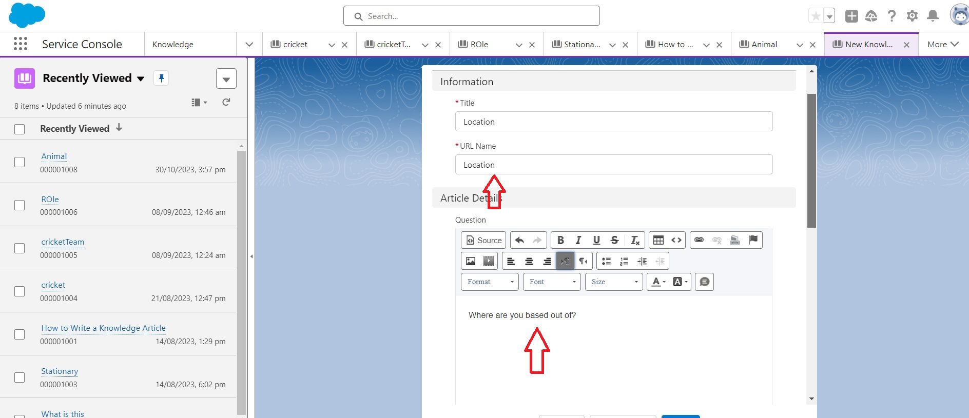 How to Connect your Salesforce Knowledge Base into a Chatbot