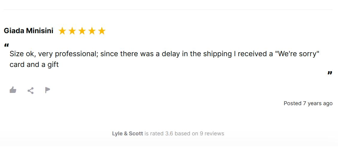 Positive review for Lyle & Scott mentioning professionalism and a gift for a shipping delay. A shopper examining a used car with a price tag, looking satisfied while comparing it to other options nearby.